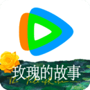 调教之家